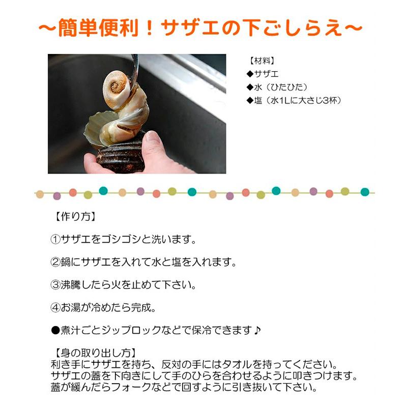 天然活きサザエ 1kg 6 10個 大分県産 蠑螺 さざえ 栄螺 Fuji 016 大分県の特産品専門店ふるさと 通販 Yahoo ショッピング