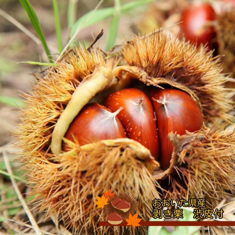 大分 冷凍 剥き栗 渋皮付き 約1kg 送料無料 おおいた県産 料理用 鬼皮剥き 渋皮煮 マロン くり 茹で栗 甘露煮 栗きんとん 栗ごはん 焼き栗 Mukikuri1kg 大分県の特産品専門店ふるさと 通販 Yahoo ショッピング