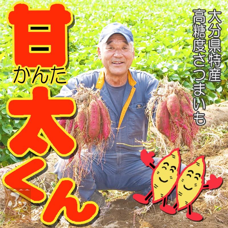 9月頃予約受付開始】 高糖度 さつまいも 甘太くん 5kg x1箱 秀 9月頃予約受付開始】 高糖度 さつまいも 甘太くん 5kg x1箱 秀