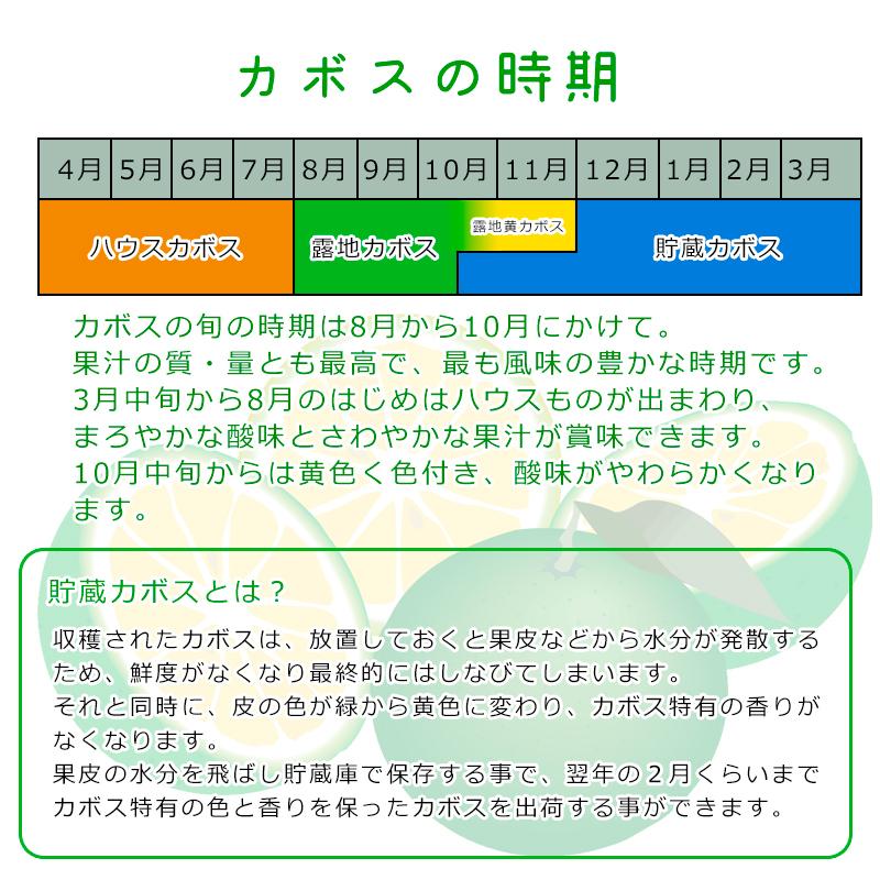 大分 かぼす カボス 露地栽培 2kg（10月中旬頃〜黄カボス 完熟 になります） 産直 お取り寄せ 国産 九州産｜shop-furusato｜11