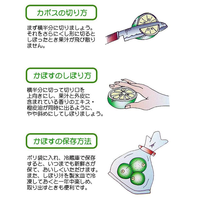 大分 かぼす カボス 露地栽培 2kg（10月中旬頃〜黄カボス 完熟 になります） 産直 お取り寄せ 国産 九州産｜shop-furusato｜06