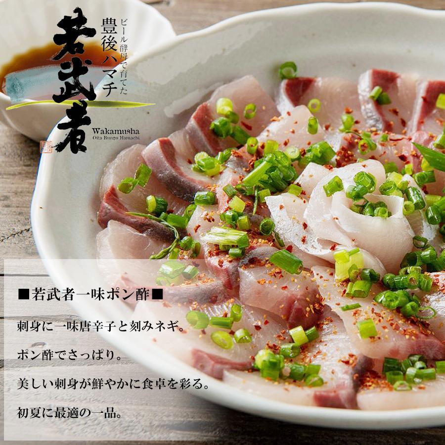 ビール酵母で育てた豊後ハマチ 若武者 1本物 3 8kg前後 大分県産 わかむしゃ ぶり 鰤 ブリ 養殖 冷蔵 Wakamusya 大分県の特産品専門店ふるさと 通販 Yahoo ショッピング