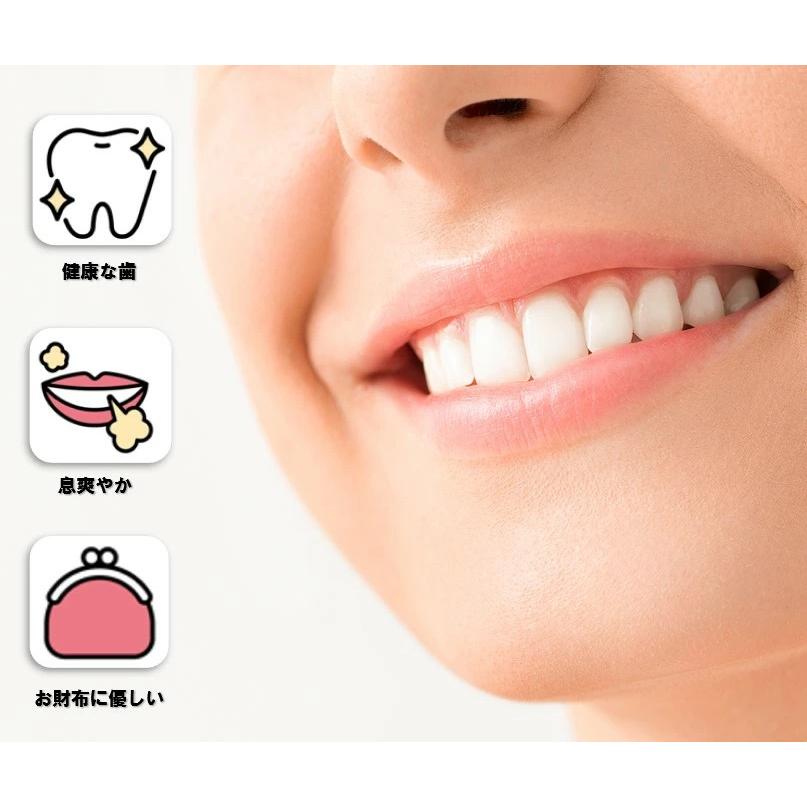 送料無料 電動歯ブラシ ソニッケアー ダイヤモンドクリーン ヘッド カラーリング付き 互換替え歯ブラシ 非純正品 HX-6014 ４本入り レギュラータイプ お試し価格 | ソニッケアー | 07