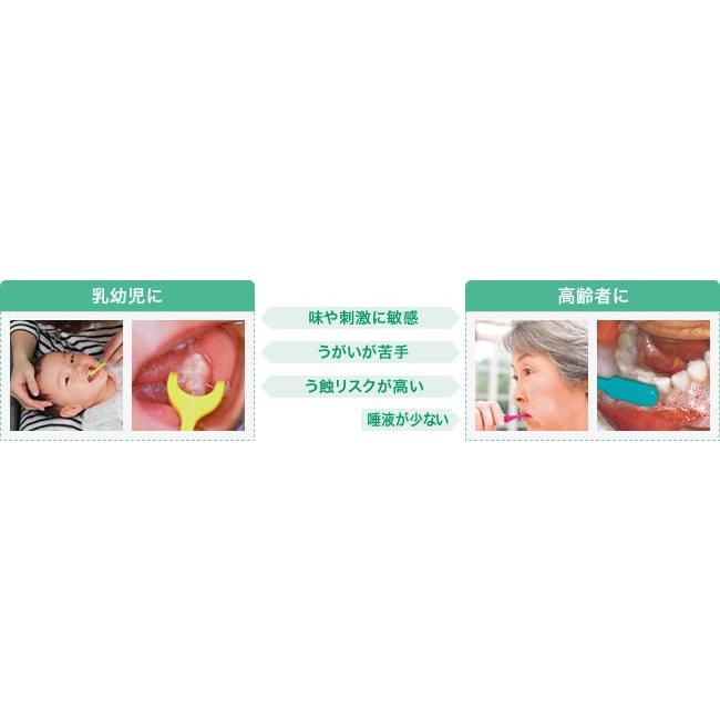 チェックアップ 歯科専用 歯磨き粉 泡状タイプ ライオン デント EX