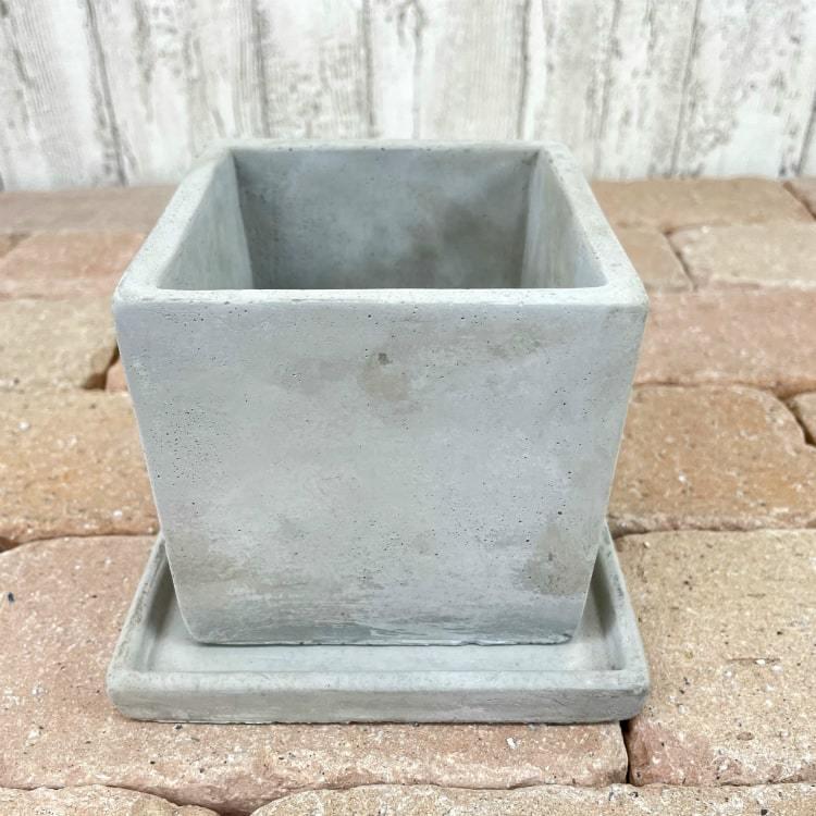 植木鉢 おしゃれ コンクリートポット CC003-110 4号(11cm) 鉢底穴有り