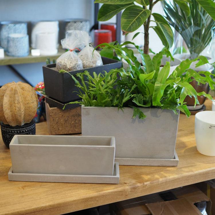 植木鉢 おしゃれ コンクリートポット CC018-270 12cm x 27cm 鉢