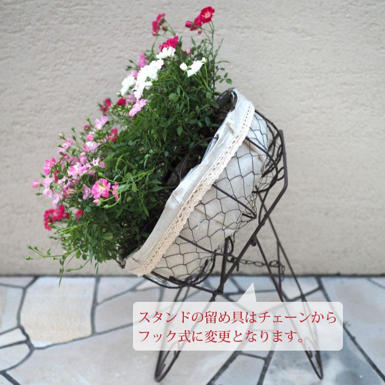 一部地域送料無料) ウェルカムローズ レンゲローズ ミニ薔薇の寄せ植え