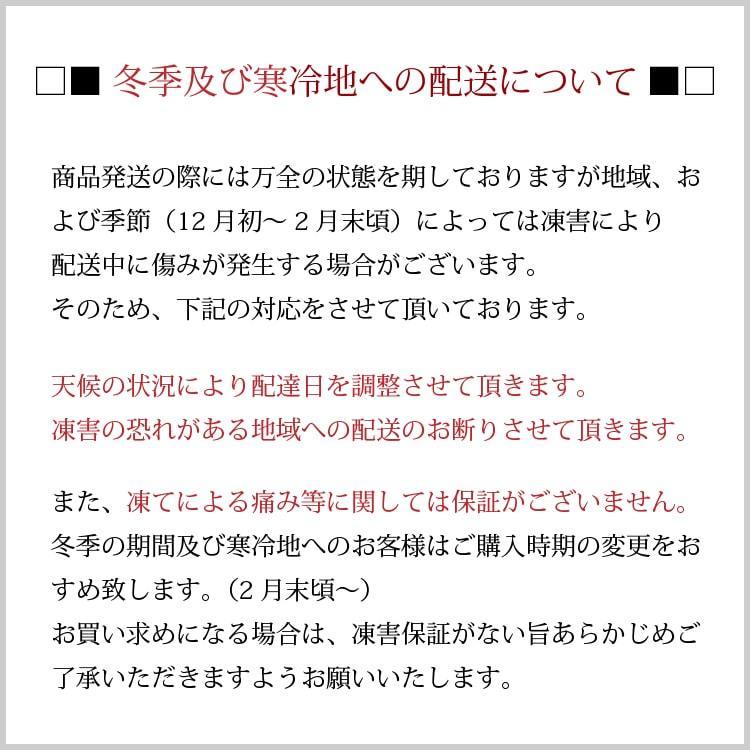 物品 シェフレラ 大型観葉植物 ホンコンカポック 十号鉢 hi-tech.boutique 物品 シェフレラ 大型観葉植物 ホンコンカポック 十号鉢 hi-tech.boutique