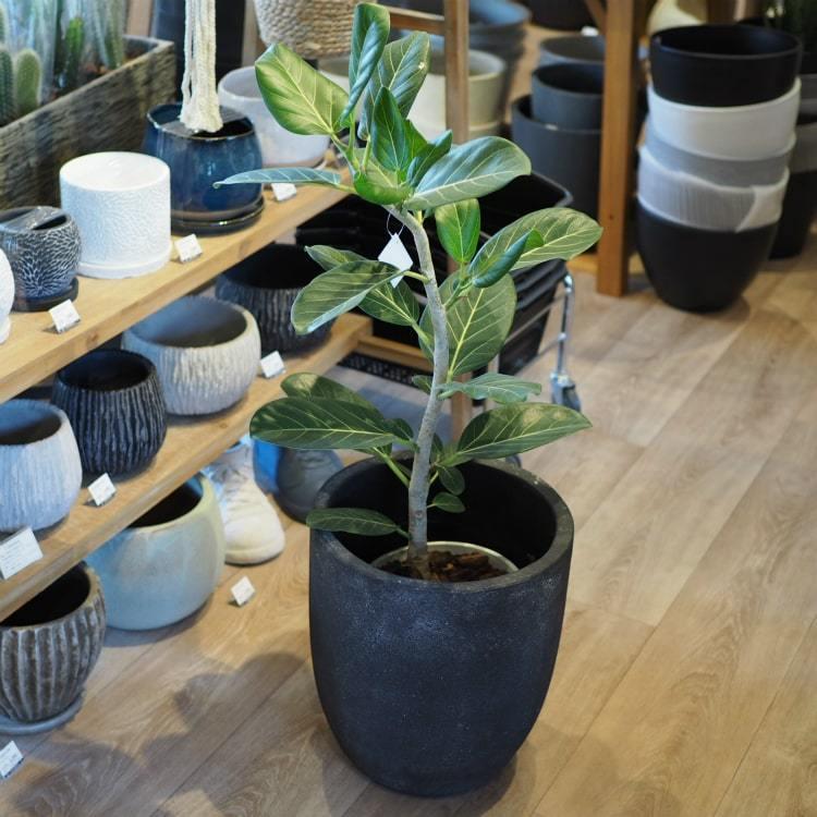 植木鉢 おしゃれ ファイバーセメントポット GP002-310 10号(31cm 植木鉢 おしゃれ ファイバーセメントポット GP002-310 10号(31cm