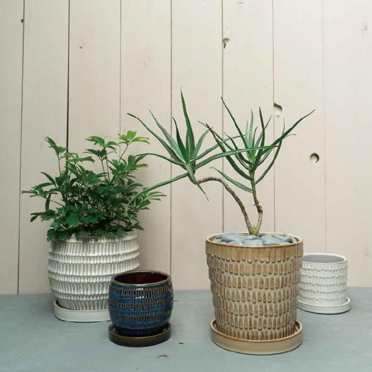 植木鉢 おしゃれ テラコッタ 凹凸デザインがおしゃれな植木鉢 Gp108 110 3 5号 11cm 鉢底穴有り 受け皿付き Gp108 110 植木鉢とテラコッタの専門店 鉢人 通販 Yahoo ショッピング