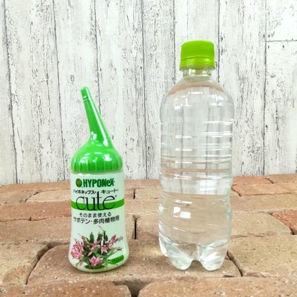 ハイポネックス キュート サボテン・多肉植物用 150ml : 植木鉢の専門