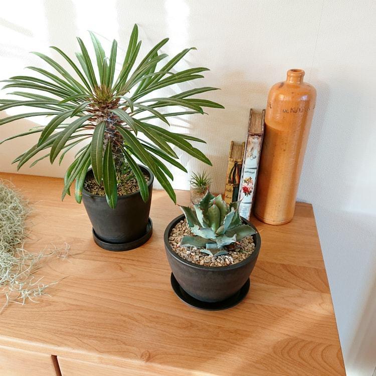 植木鉢・おしゃれ・テラコッタ 軽量シンプルポット MA102-150 5号(15cm) / プラスチック FRP :MA102-150:植木鉢と テラコッタの専門店 鉢人 - 通販 - Yahoo!ショッピング 植木鉢・おしゃれ・テラコッタ 軽量シンプルポット MA102-150 5号(15cm) / プラスチック FRP :MA102-150:植木鉢と テラコッタの専門店 鉢人 - 通販 - Yahoo!ショッピング