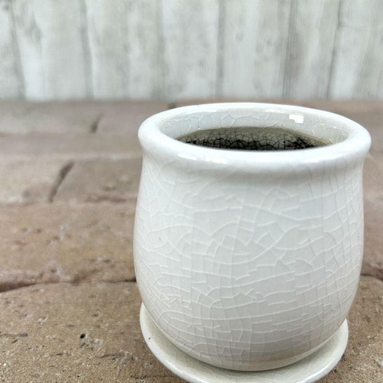 植木鉢 おしゃれ 陶器鉢 シンプルポット MM003-080 3号(8cm) 鉢 植木鉢 おしゃれ 陶器鉢 シンプルポット MM003-080 3号(8cm) 鉢