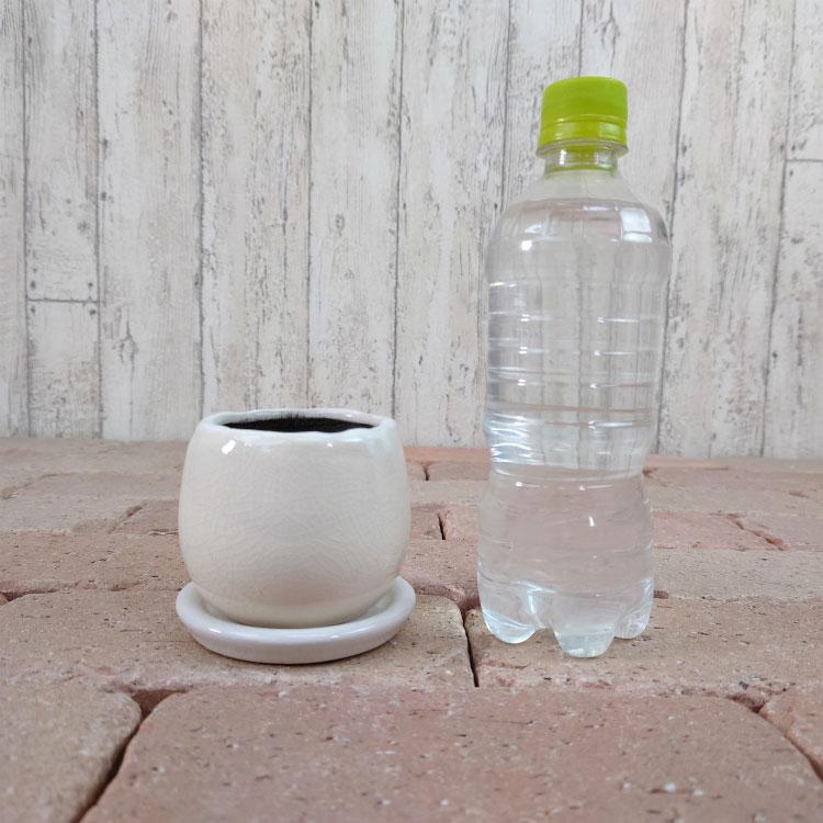 植木鉢 おしゃれ 陶器鉢 釉薬がきれいな卵型ポット MM038-090 3 植木鉢 おしゃれ 陶器鉢 釉薬がきれいな卵型ポット MM038-090 3