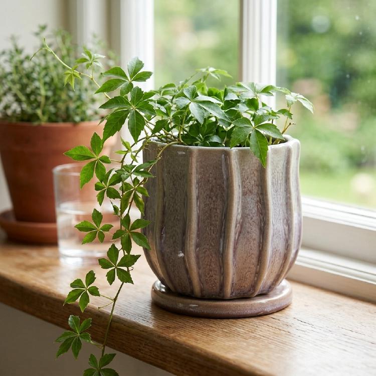 植木鉢 おしゃれ 陶器鉢 サティポット MM039-150 5号(15cm) 鉢底穴有り