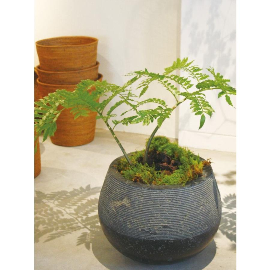 植木鉢・おしゃれ・テラコッタ グラスファイバーの鉢カバー MM309-380 13号(38cm) / 陶器鉢 大型 セメント 軽い 