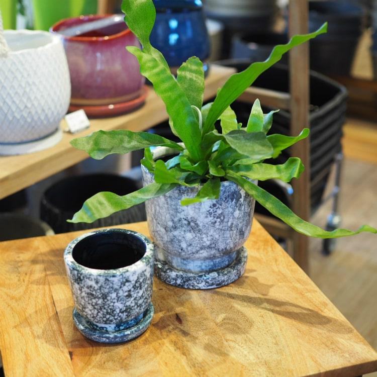 植木鉢 おしゃれ 陶器鉢 アンティークデザインポット RR327-090 植木鉢 おしゃれ 陶器鉢 アンティークデザインポット RR327-090