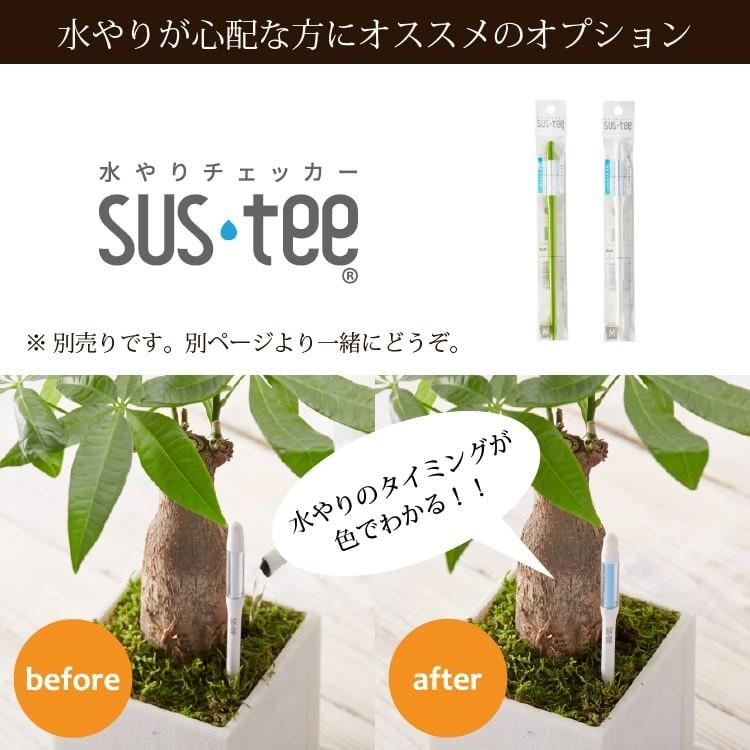 一部地域送料無料) ソフォラ リトルベイビー 4色から選べる釉薬鉢