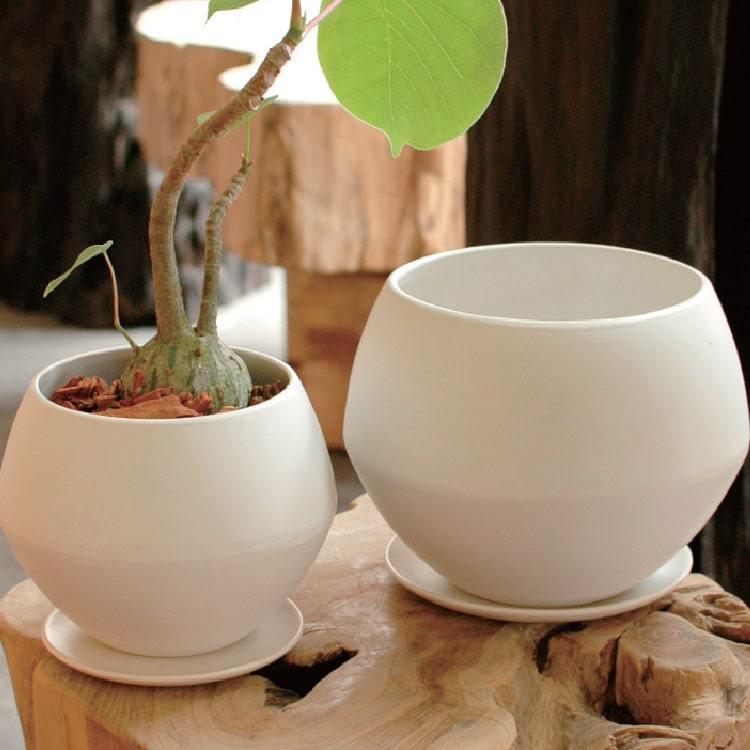 植木鉢 おしゃれ 陶器鉢 シンプルポット ST1321-180 6号(18cm) 鉢底穴