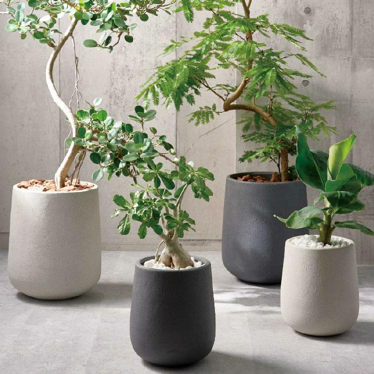 植木鉢 おしゃれ グラスファイバー シンプルスタイリッシュ 植木鉢 おしゃれ グラスファイバー シンプルスタイリッシュ