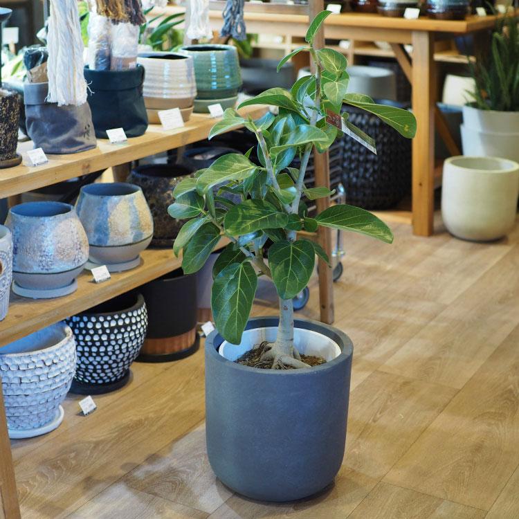 植木鉢 おしゃれ グラスファイバー シンプルスタイリッシュポット