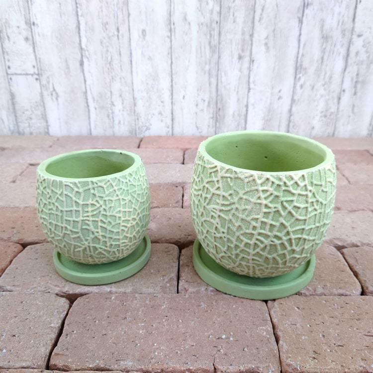 植木鉢 おしゃれ 鮮やかなメロン柄ポット UN409-115 4号(12cm) 鉢底穴