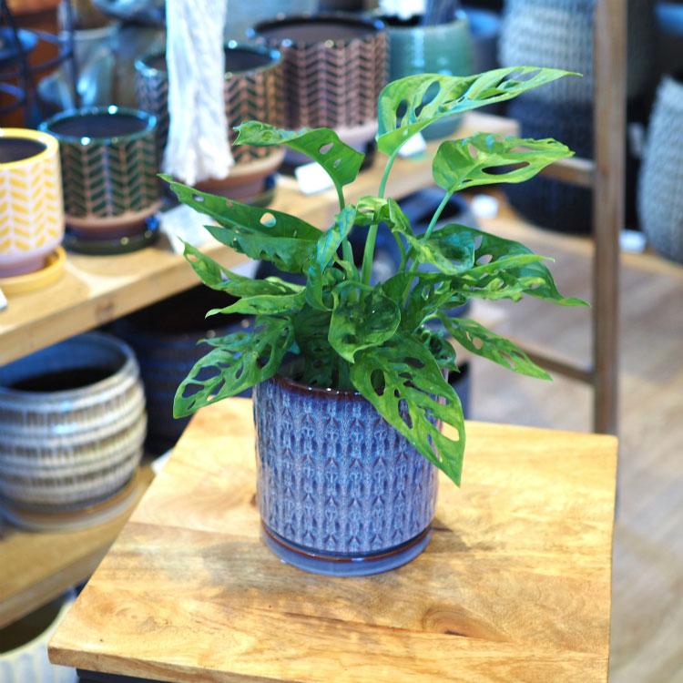 植木鉢 おしゃれ 陶器鉢 アルバータシリンダーポット YD013-135 4.5号