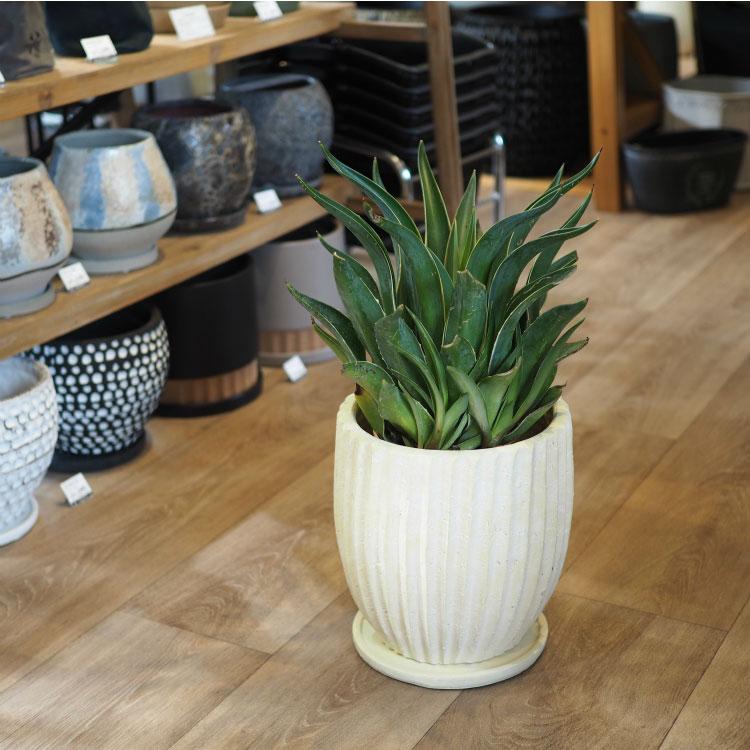 植木鉢 おしゃれ 陶器鉢 アンティークラインポット YS0576-290 植木鉢 おしゃれ 陶器鉢 アンティークラインポット YS0576-290