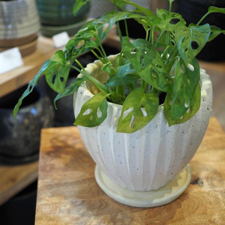 植木鉢 おしゃれ 陶器鉢 アンティークラインポット YS0584-200 7 植木鉢 おしゃれ 陶器鉢 アンティークラインポット YS0584-200 7