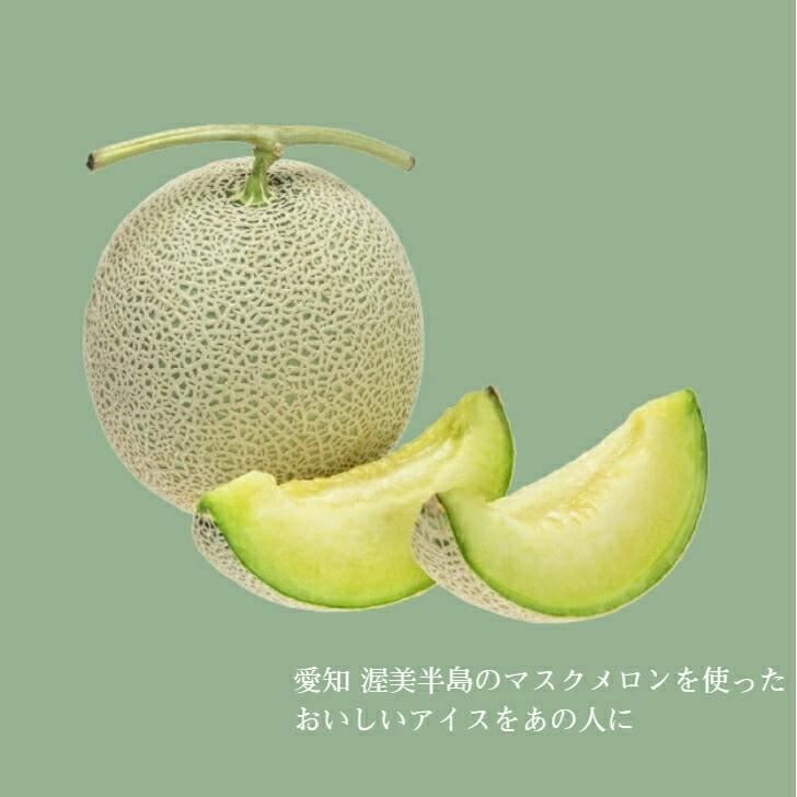 渥美半島のめろんのあいす 12個入 中央製乳 豊橋 マスクメロン果汁