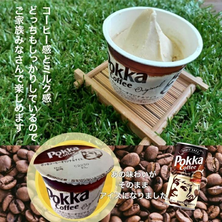中央製乳 ポッカコーヒー オリジナルアイス 12個入 豊橋 詰め合わせ
