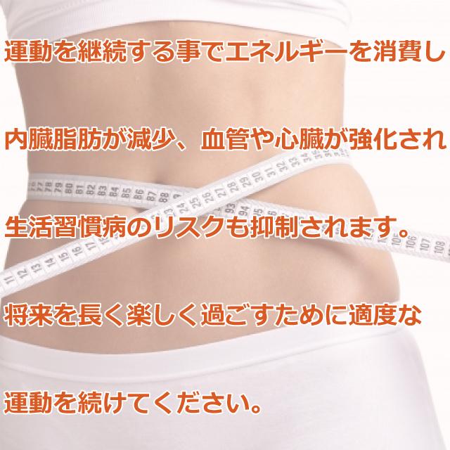 アルインコ フィットネスバイク AFB4518 テーブル付 ながらバイク 家庭用 クロスバイク 背もたれ 折りたたみ