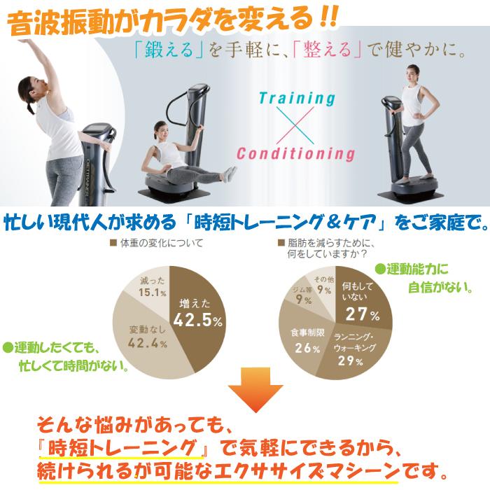 フジ医療器 ダイエット トレーナー コア DT-C1000 音波振動
