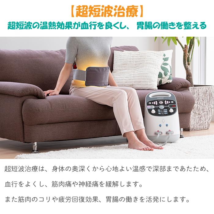 フジ医療器 ヘルスウェーブIII SW-700 低周波 超短波 医療機器 フジ医療器 ヘルスウェーブIII SW-700 低周波 超短波 医療機器