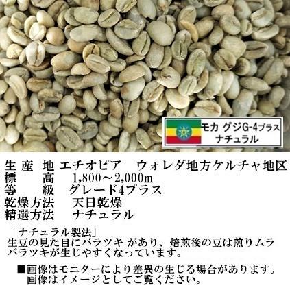 コーヒー生豆4種類2kgセットSP（送料無料）｜shop-holiday｜04
