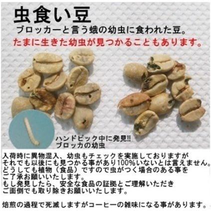 コーヒー生豆4種類2kgセットSP（送料無料）｜shop-holiday｜09