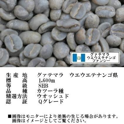 SPコーヒー生豆4種類2kgセットA（送料無料）｜shop-holiday｜05