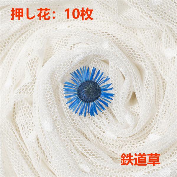 人気カラーの 押し花 天然花 ドライフラワー Diy ネイル ブリザードフラワー 押し花ネイル ハンドメイド デコパーツ 乾燥花 花材 アクセサリー パーツ 小分け 少量 鉄道草 10枚 Cisama Sc Gov Br