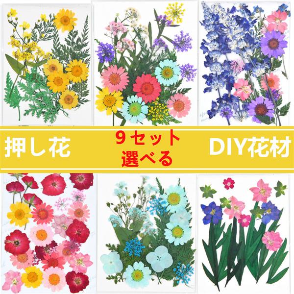 最安値挑戦 9セット選べる 天然花 押し花 ハンドメイド 押し花アート デコパーツ ドライフラワー 天然色 Diy 化粧 乾燥シート 装飾 手芸 パーツ ブリザードフラワー キット Sarozambia Com
