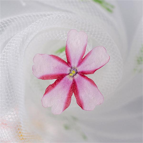 57 Off 天然花 押し花 桜 ハンドメイド デコパーツ ドライフラワー Diy ネイル フラワーネイル 化粧 押し花アート レジン 乾燥シート 手芸 ブリザードフラワー 10枚 Babylonrooftop Com Au