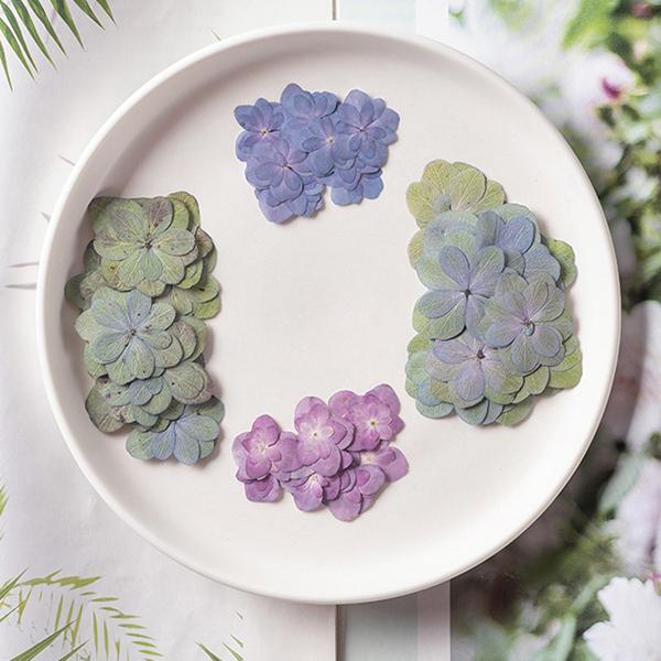 天然花 押し花 ハンドメイド アジサイ あじさい 紫陽花 ドライフラワー 装飾 顔飾り Diy ネイル フラワーネイル 化粧 乾燥シート 手芸 ブリザードフラワー 10枚 Fj140 Syokoya 通販 Yahoo ショッピング