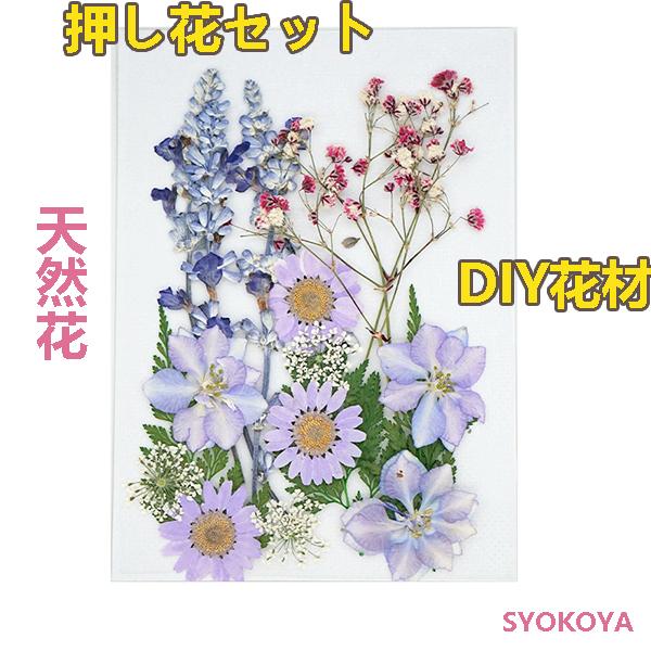 押し花セット ハンドメイド デコパーツ 押し花アート スマホケース装飾 ドライフラワーdiy 化粧 乾燥シート 手芸 パーツ