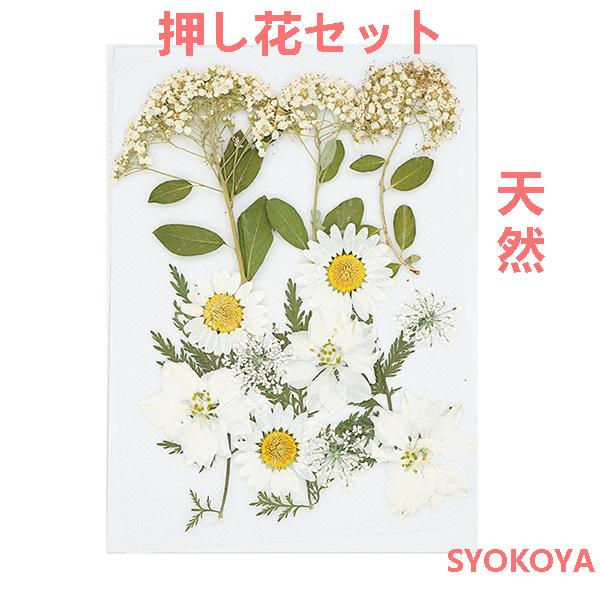 押し花セット ハンドメイド デコパーツ 激安セール 押し花アート スマホケース装飾 ドライフラワーdiy 化粧 花材 ブリザードフラワー 手芸 貼り絵 乾燥シート パーツ レジン