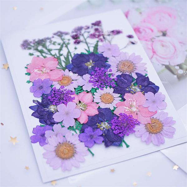 爆売り 押し花セット ハンドメイド デコパーツ 押し花アート スマホケース装飾 ドライフラワーdiy 化粧 乾燥シート 手芸 パーツ ブリザードフラワー 花材 レジン 貼り絵 Cisama Sc Gov Br