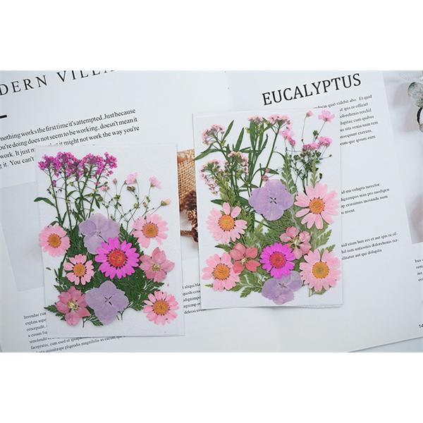 スーパーsale セール期間限定 押し花セット ハンドメイド デコパーツ 押し花アート スマホケース装飾 ドライフラワーdiy 化粧 乾燥シート 手芸 パーツ ブリザードフラワー 花材 レジン 貼り絵 Rsjd Surakarta Jatengprov Go Id