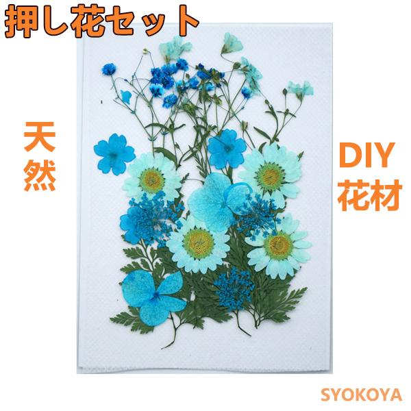 押し花セット ハンドメイド ドライフラワーdiy 化粧 乾燥シート 手芸 パーツ ブリザードフラワー 花材 レジン 貼り絵 デコパーツ 押し花アート スマホケース装飾 Fj4 Syokoya 通販 Yahoo ショッピング