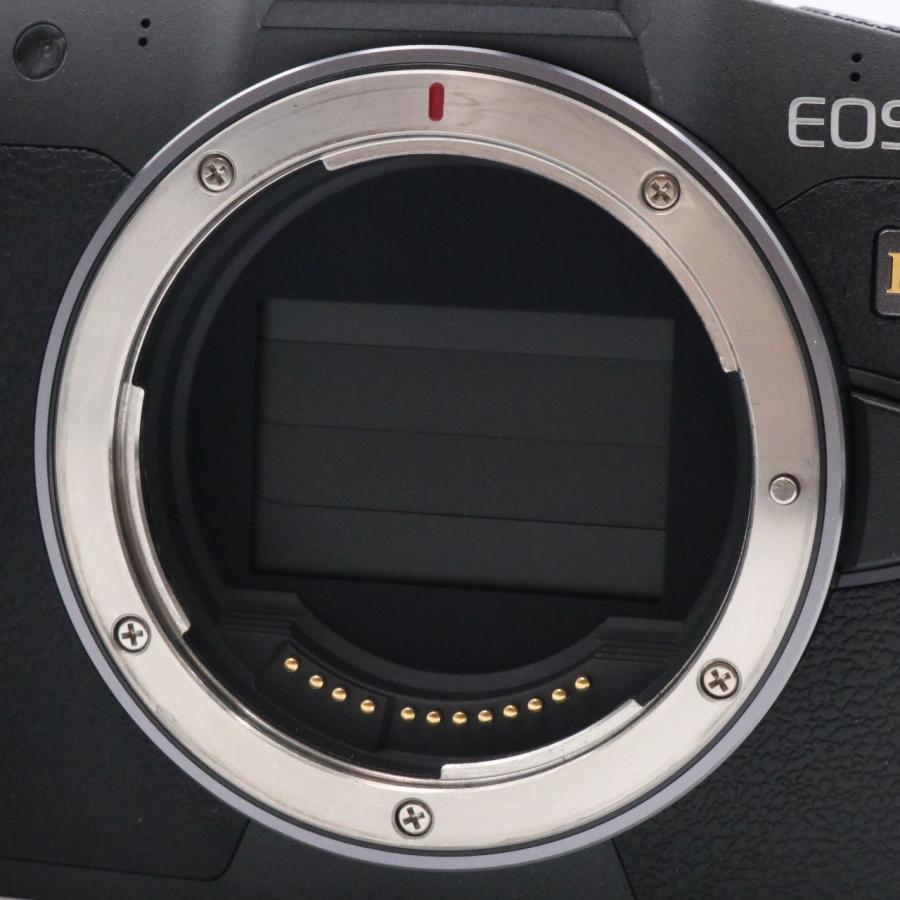 ショット数『1000以下』キヤノン 天体撮影用デジタル一眼カメラ・ボディ EOS ショット数『1000以下』キヤノン 天体撮影用デジタル一眼カメラ