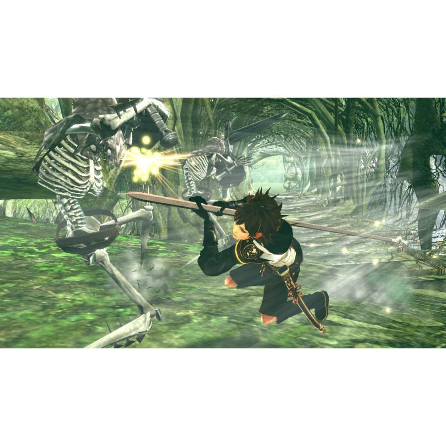 ドラッグ オン ドラグーン3 PS3の画像