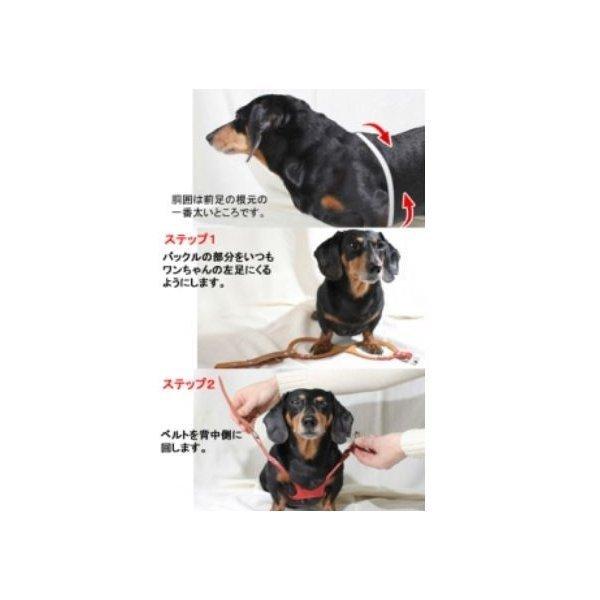 バディーベルト2.5号【プレミアム】 リングハーネス メガネハーネス