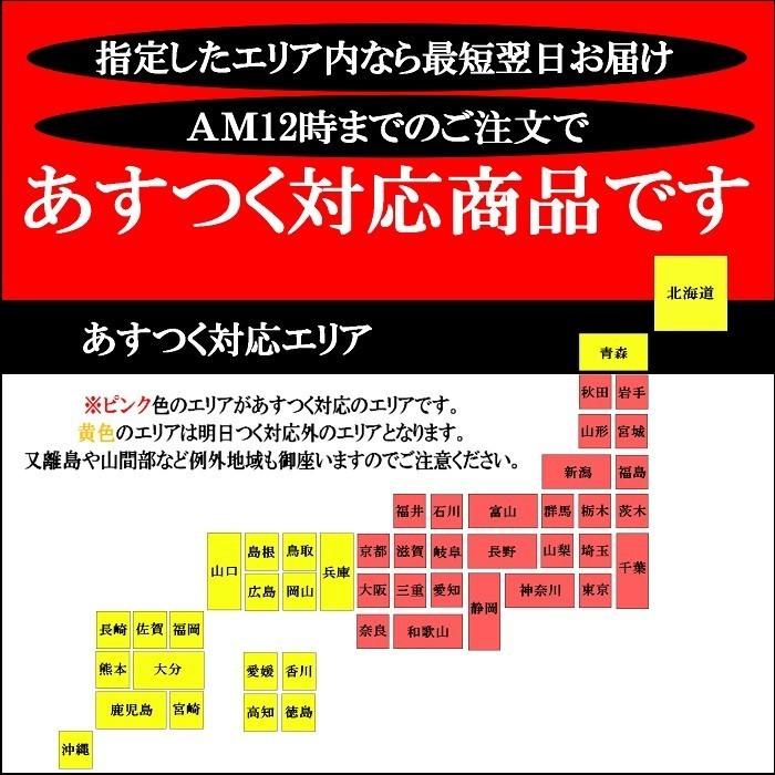 あす楽 ねこのしっぽ 6本入り2箱 焼き菓子 お菓子 ギフト 誕生日 お中元 お盆 お祝い 贈り物 ご挨拶 お年賀 谷中銀座 ねこ 商品番号1214｜shop-karin｜08